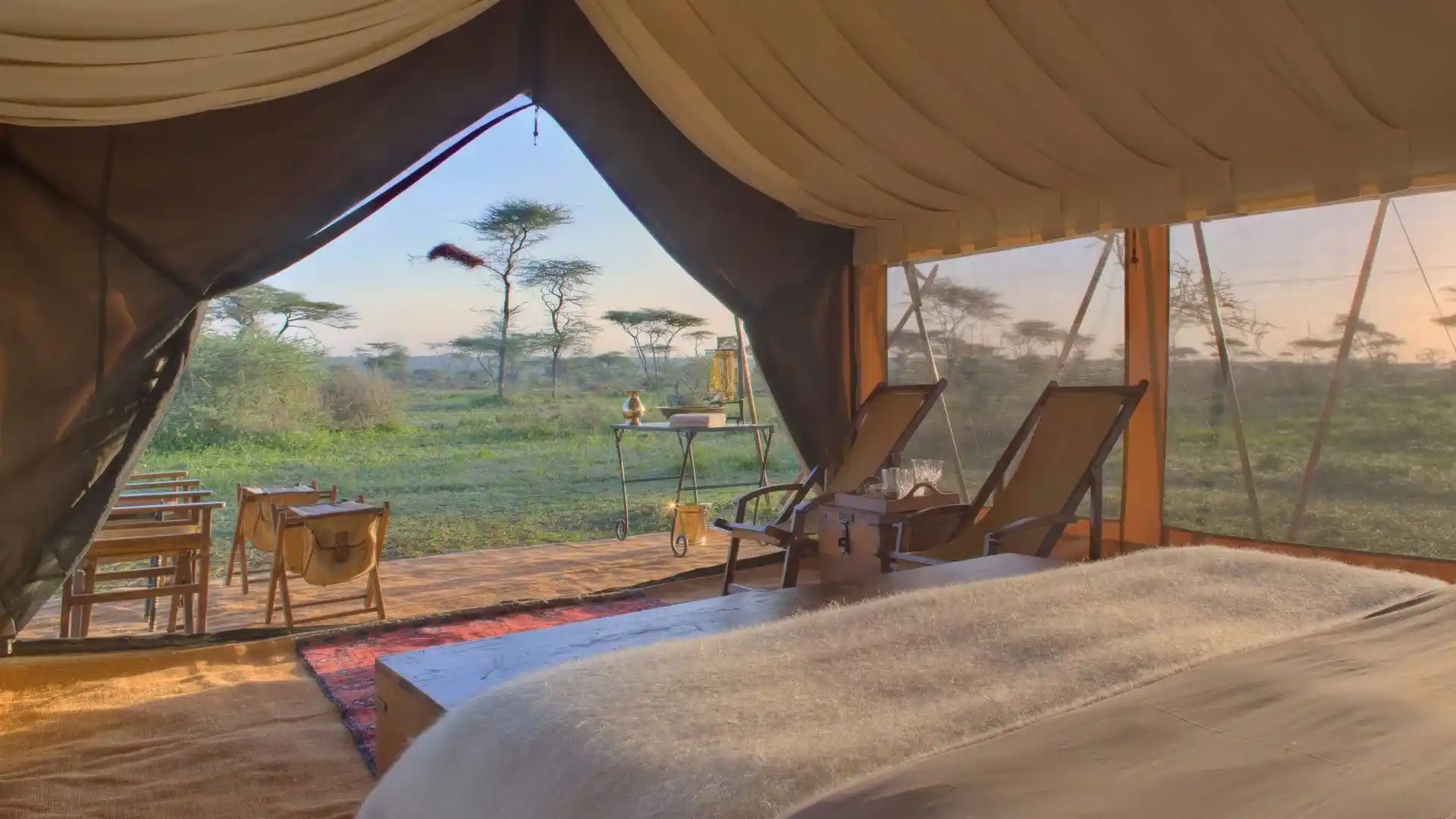 Tanzania Wildlife Safari Packages
